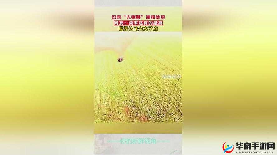 铜铜铜铜铜铜铜铜好大好深板且没有病毒看点：独特的视觉盛宴等你来