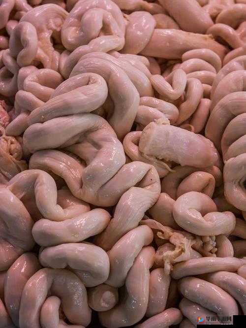 饿了要吃大肠喝牛奶：满足味蕾对独特美食的渴望