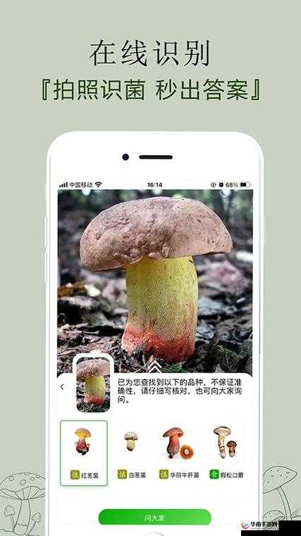 老版蘑菇安装包免费版：经典软件，免费共享