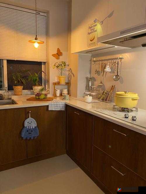 厨房一次又一次索要刷碗总怎么办：探寻解决之法