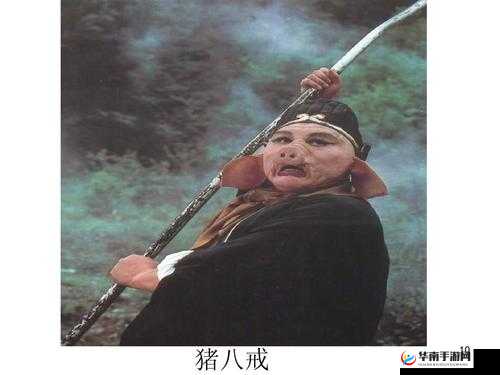 八戒八戒在线看精彩剧集等你来畅享