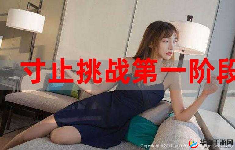 寸止挑战17 期挑战资源在哪能找：相关渠道汇总与分析