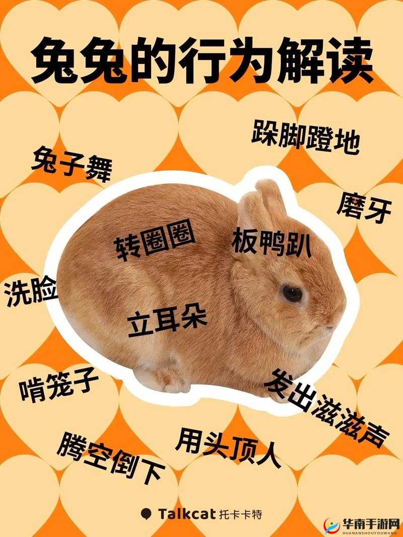 男朋友为什么老是吸我的小兔子：这种行为背后的原因探讨