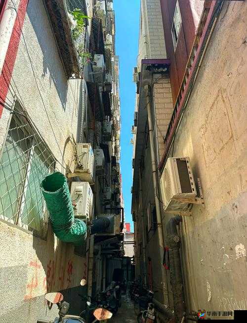 狗哥探店城中村 150 带你领略不一样的城中村落风情