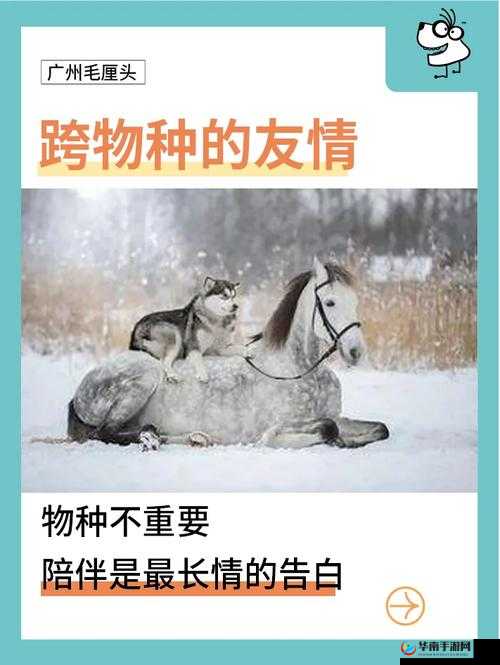 人与畜禽交互 MOUSE：探索奇妙的跨物种互动之旅