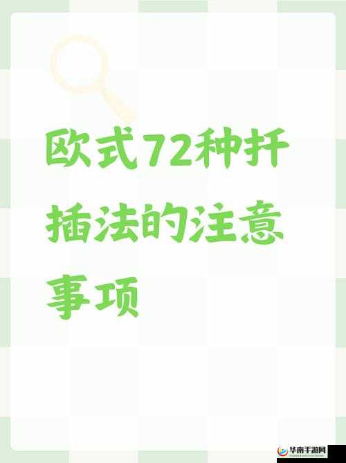 完整扦插过程视频：详细步骤与关键技巧全展示