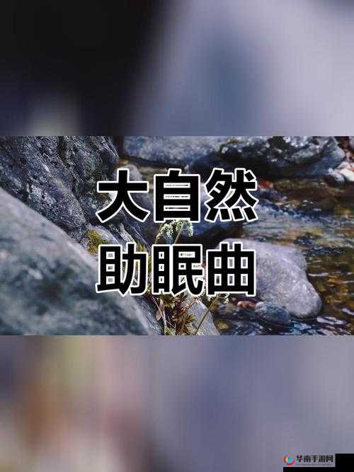摇床和喘气声音助眠：带你走进深度放松的宁静世界
