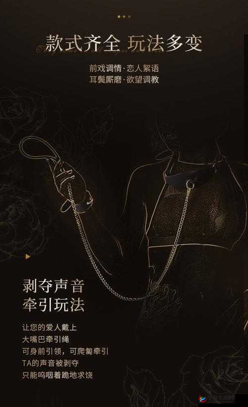 中国 BDSMChineseHD：探索独特性癖文化的精彩世界