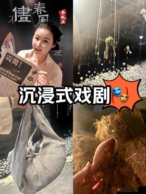 GOGOGO 中国剧情介绍与评价大牛：深度解读精彩剧情