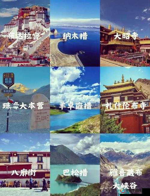 色尼马的秘密：探索西藏文化的神秘之旅