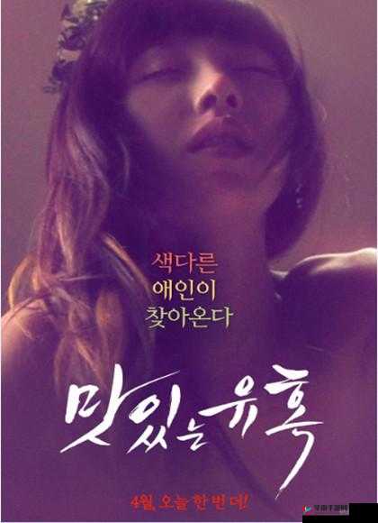 最好看的 2018 中文免费看：经典影视不容错过