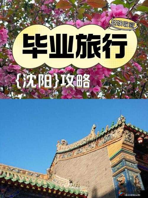 小青楼短视频 APP ：带你领略丰富多彩的视频世界