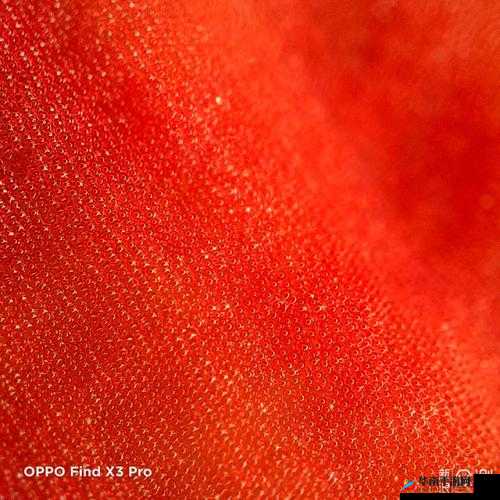 超级色图软件：带来独特视觉体验的神奇工具