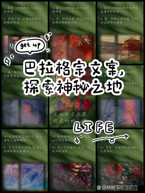 男人搞女人千乐网：探寻别样刺激与欢乐的神秘之地