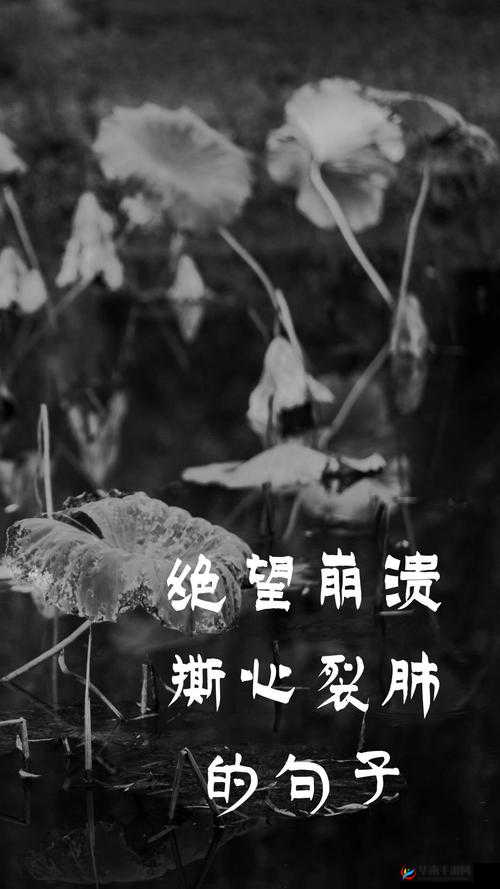 嗟嗟嗟嗟嗟嗟好痛：这难以承受的痛苦究竟为何