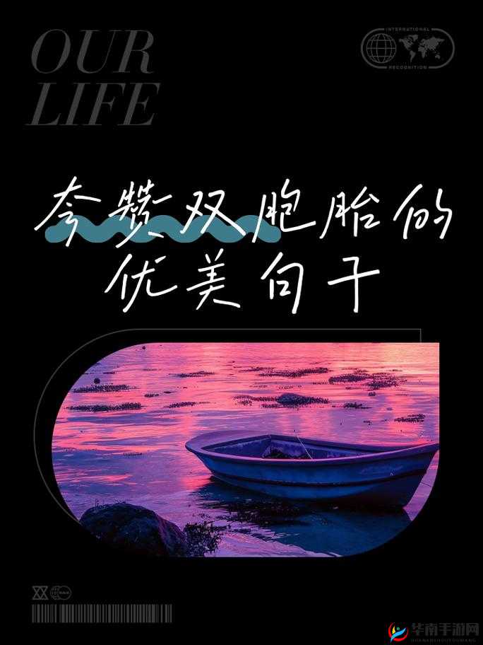 双胞胎一前 一后夹心饼干双子：令人惊叹的独特存在