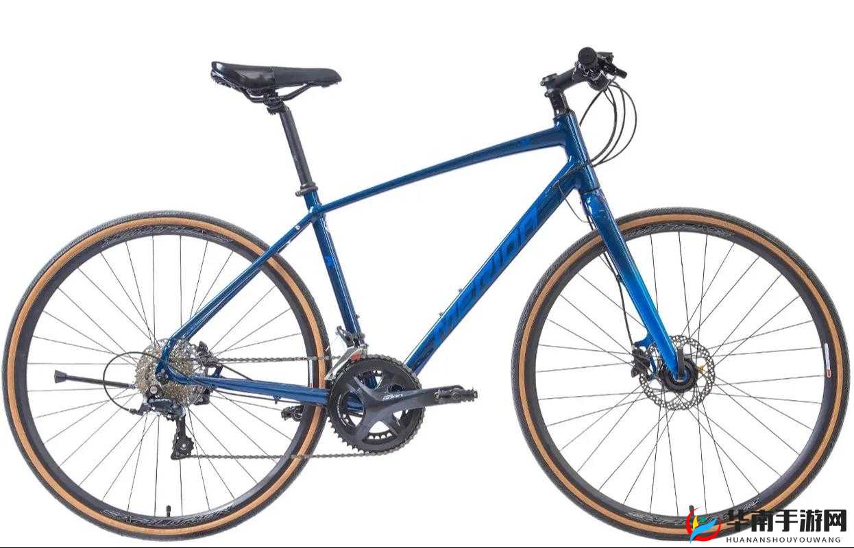 6x6x6x6x6x6x 任意槽 2024 ：探索其独特魅力与创新应用