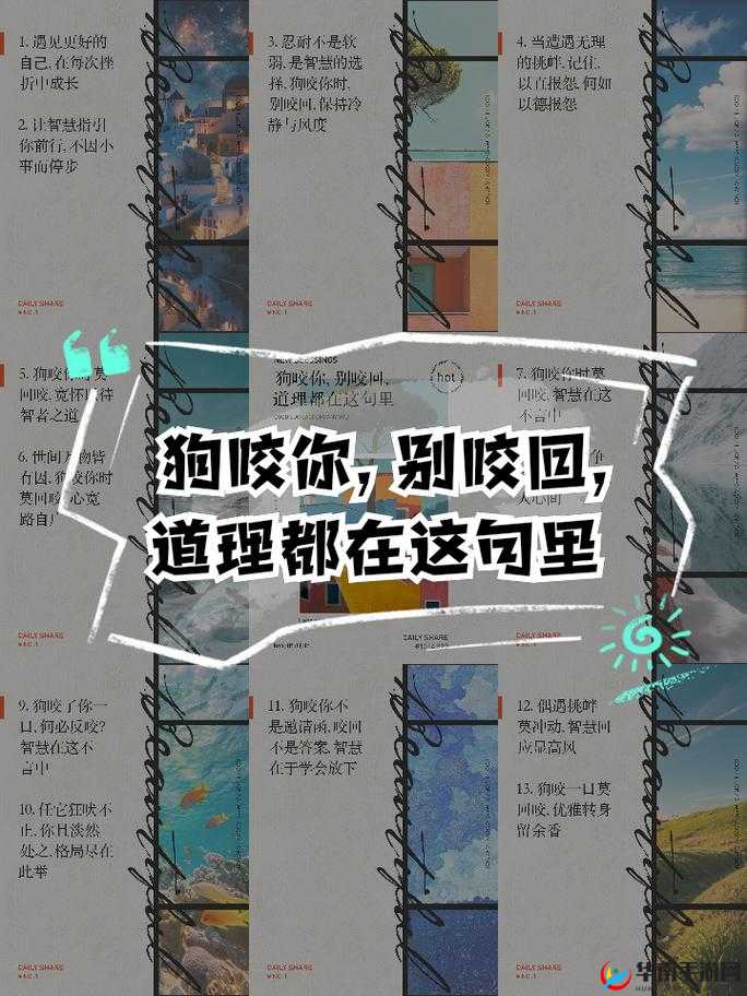 你别总那么没品地舔麻豆啊