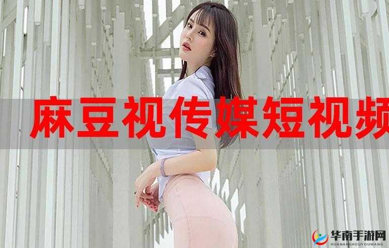 麻豆视传媒视频在线观看：精彩内容无限畅享