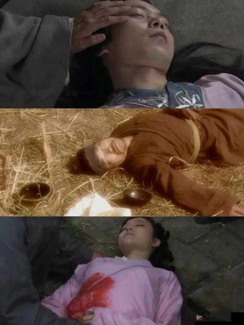 大型古装历史伦理剧日荡妇怡红院