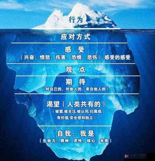 午夜理论：解析梦境与潜意识的奥秘