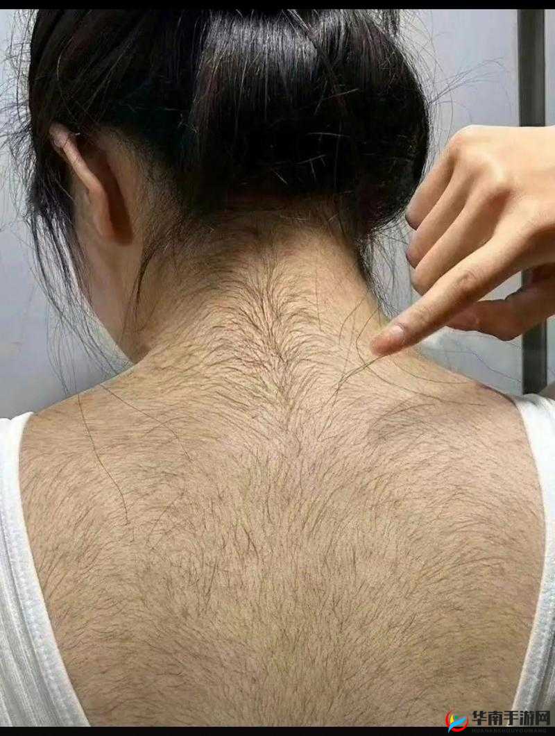 多毛逼逼的那些事儿：深入探讨多毛逼逼相关话题