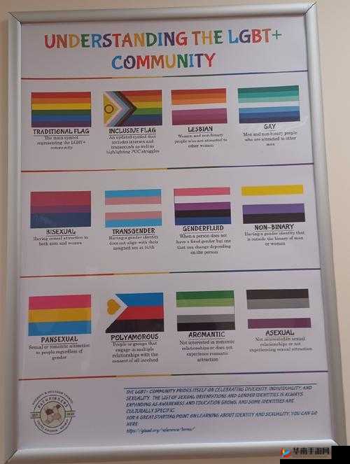 欧洲极品丰满女同：揭秘跨性别者的性取向之谜