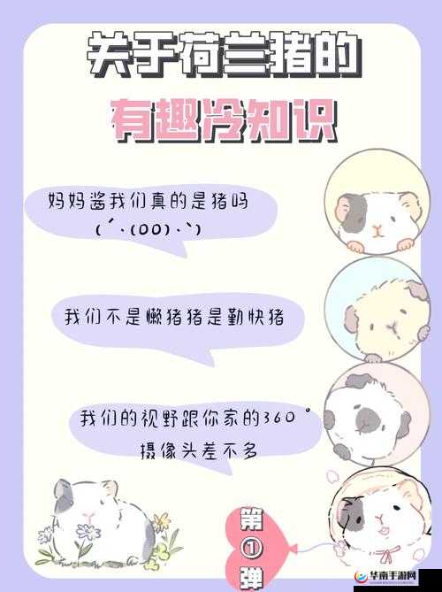 155 黑料爆料官方入口：带你探寻更多不为人知的秘密