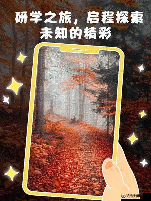 XXXBBB：开启未知领域的精彩探索之旅