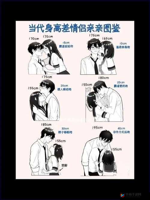 男女之事：探索性别差异的奥秘