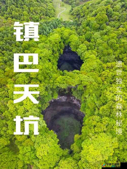 大地资源中文在线观看官网：精彩影视资源等你来探索