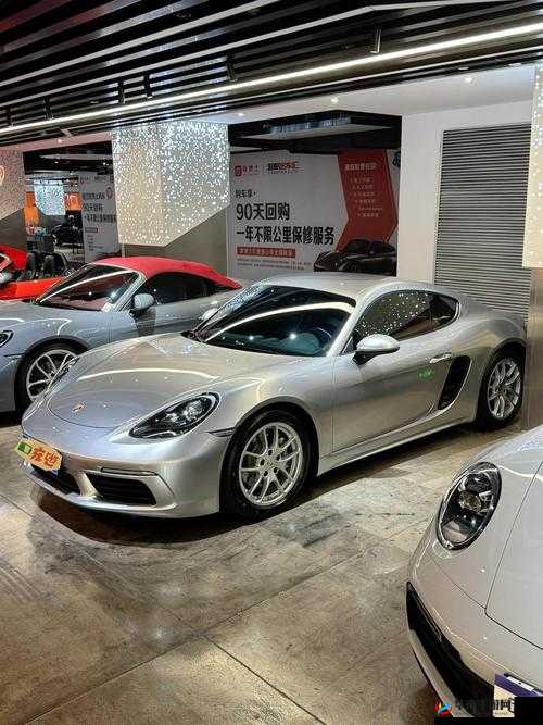 718sx 张津瑜国际版车型介绍：全方位性能与配置解析