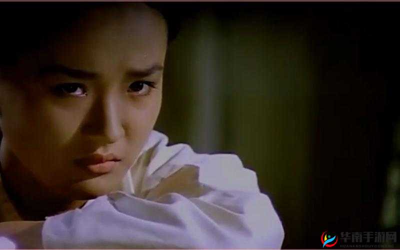 东北往事之柴火垛里的疯狂 55 集：人性与欲望的交织