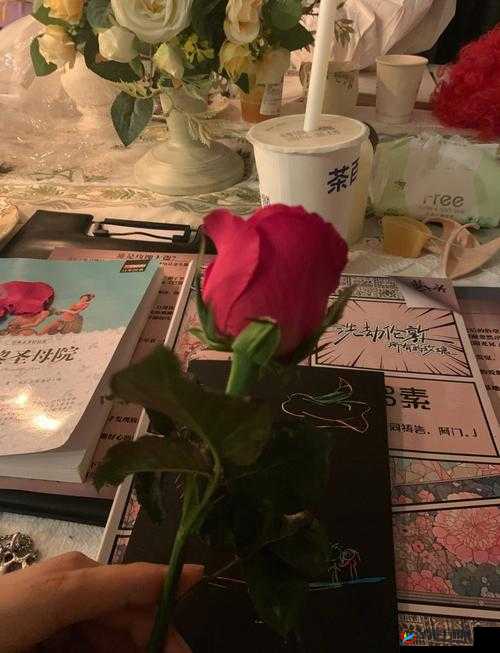 九一妻友：一段充满惊喜与感动的独特情感之旅