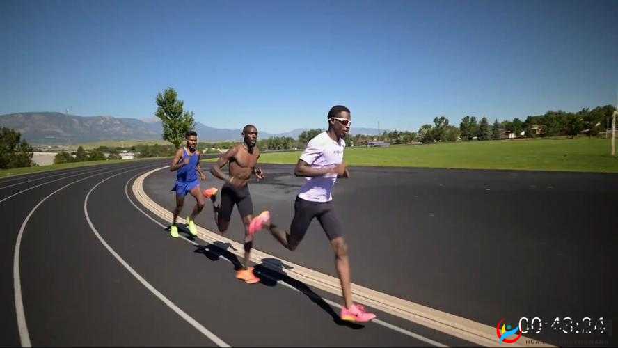 人狗ZOOM 欢迎你：带你走进不一样的奇妙世界