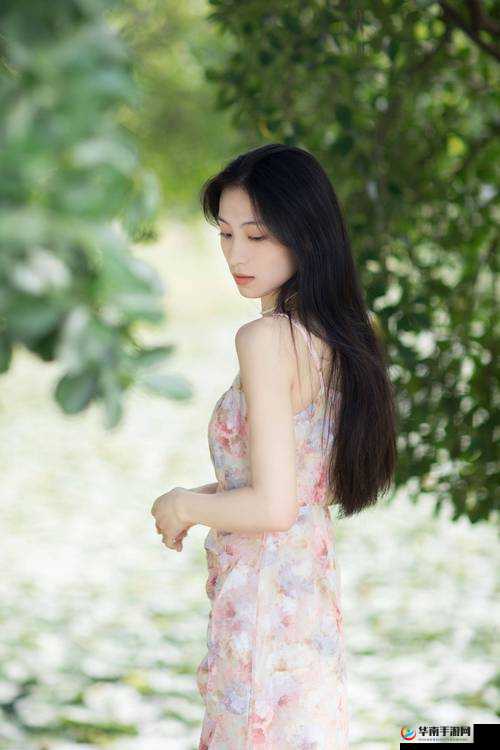 三年片高清免费观看完整版：海量精彩等你发掘