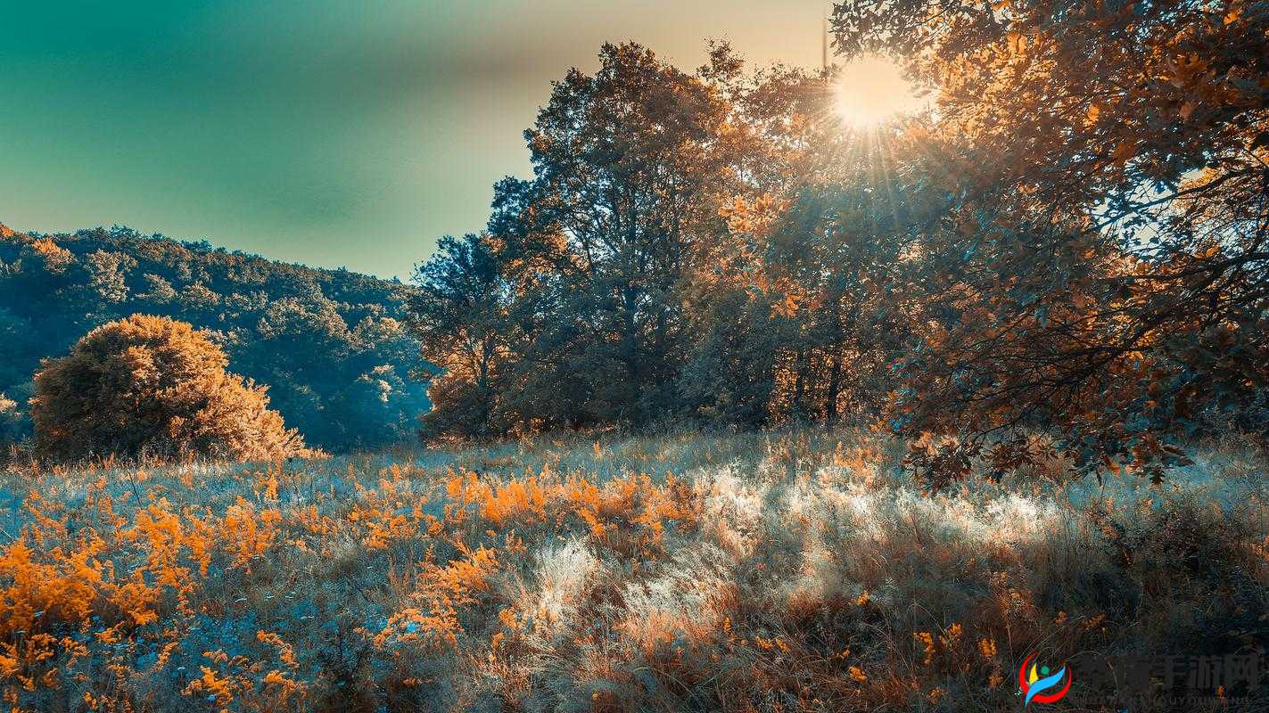 久久 99 视频：精彩无限的独特影像呈现