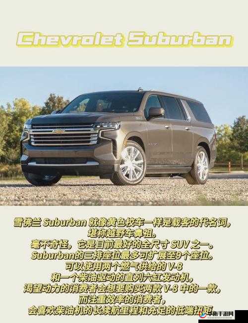 办公室欧美大尺寸 SUV ：宽敞舒适的出行之选