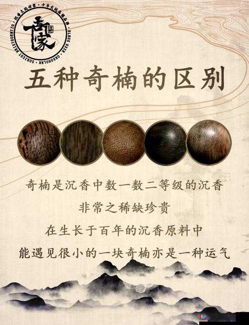 沉香的一线产区：探秘其珍稀品质与独特魅力之源