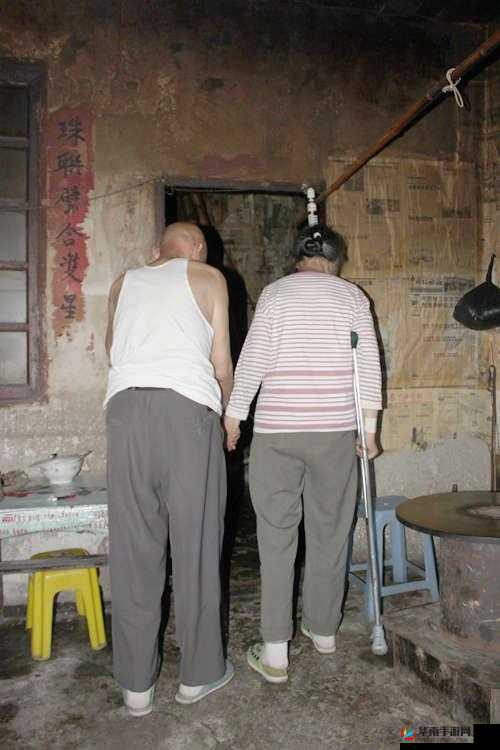 国产老头和老妇 TUBE：揭示社会现实的深刻思考