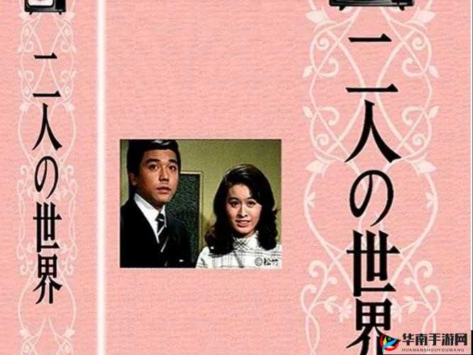 日本电视剧二人世界第 22 集-精彩剧情深度剖析与解读