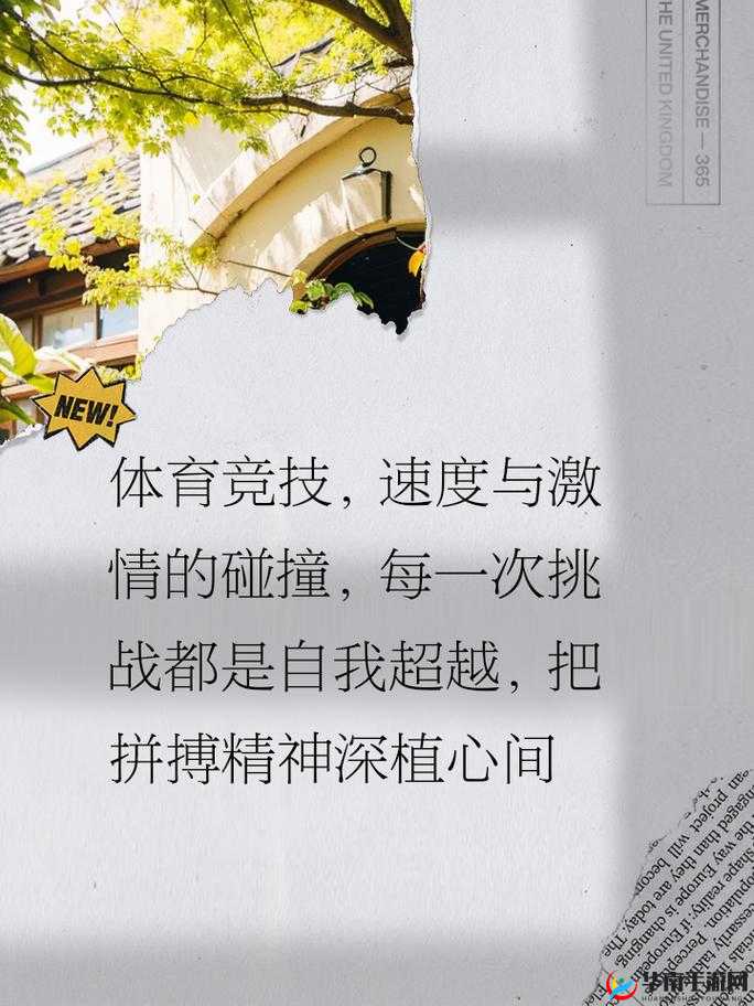 体育生互操：一场展现青春活力与拼搏精神的较量