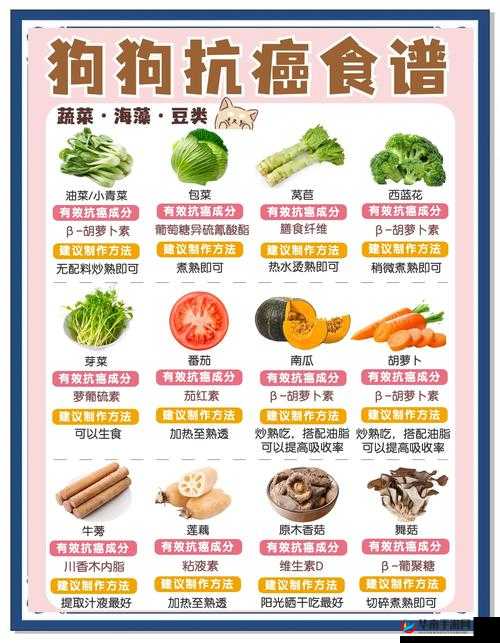 人狗胶配方大全：狗狗的秘密食谱大揭秘