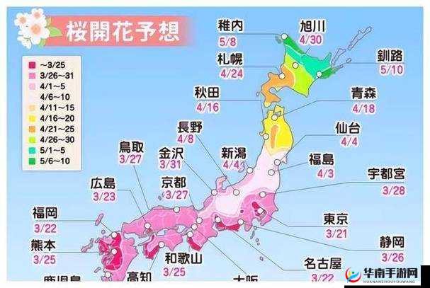 jzzjzz 日本相关：独特视角解读其魅力与内涵