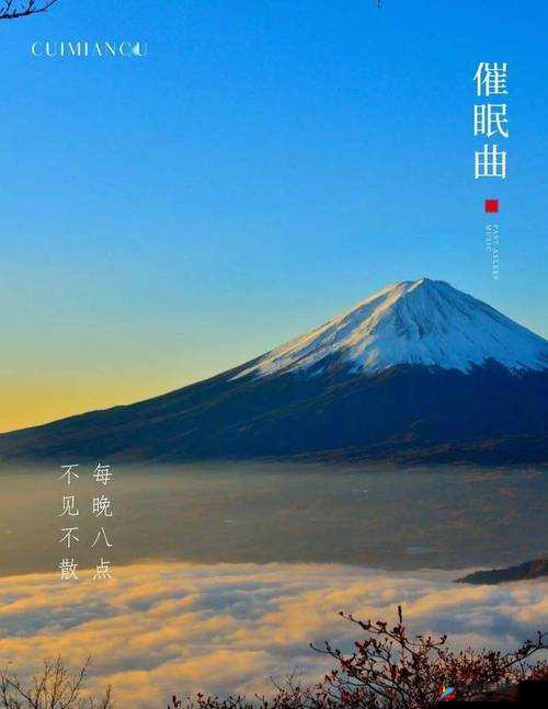 雷电将军的释怀网站!：探寻内心深处的宁静与释怀之旅