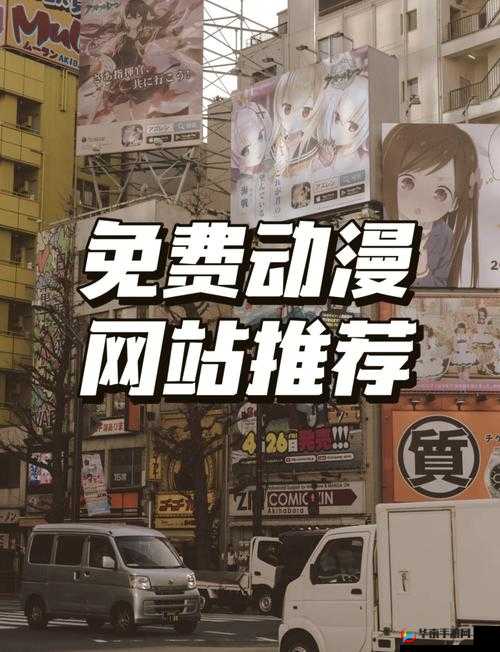 探寻樱花动漫官方正版入口究竟是什么