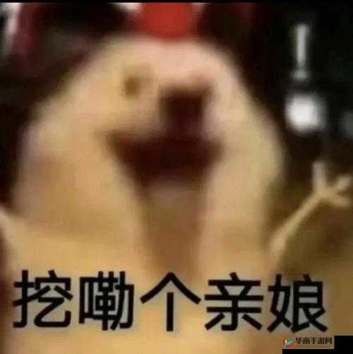 ：美女奶头引发的啊啊啊啊啊啊啊啊啊啊啊啊啊啊啊