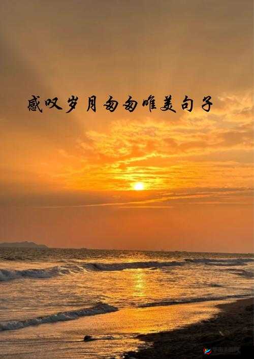 童真童趣的唯美句子：让心灵在纯真中自由翱翔