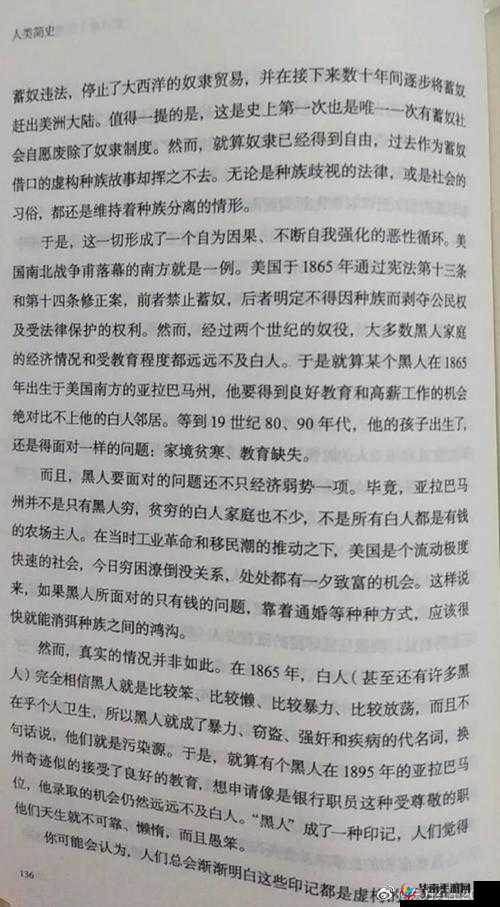 黑人种族问题探讨：从历史到现代的全面分析与思考