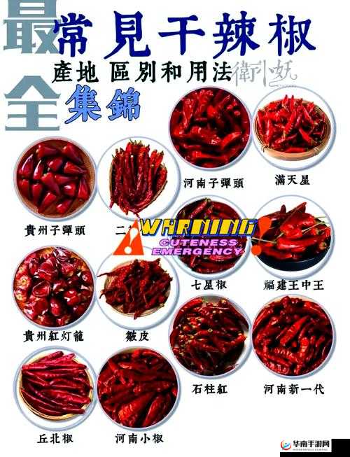 称奇：欧美一线产区与二线产区分布大揭秘